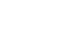 넥시스